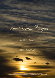 Old Violin (Neilson)