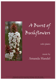 Burst of Bushflowers, A