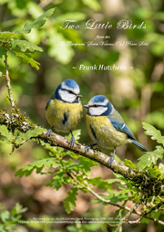 Two Little Birds
