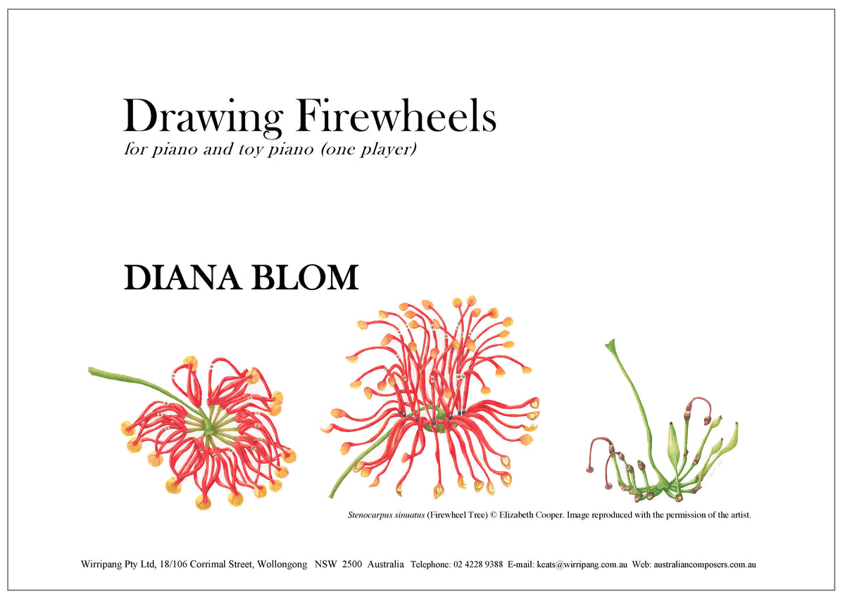Drawing Firewheels By Diana Blom – Wirripang